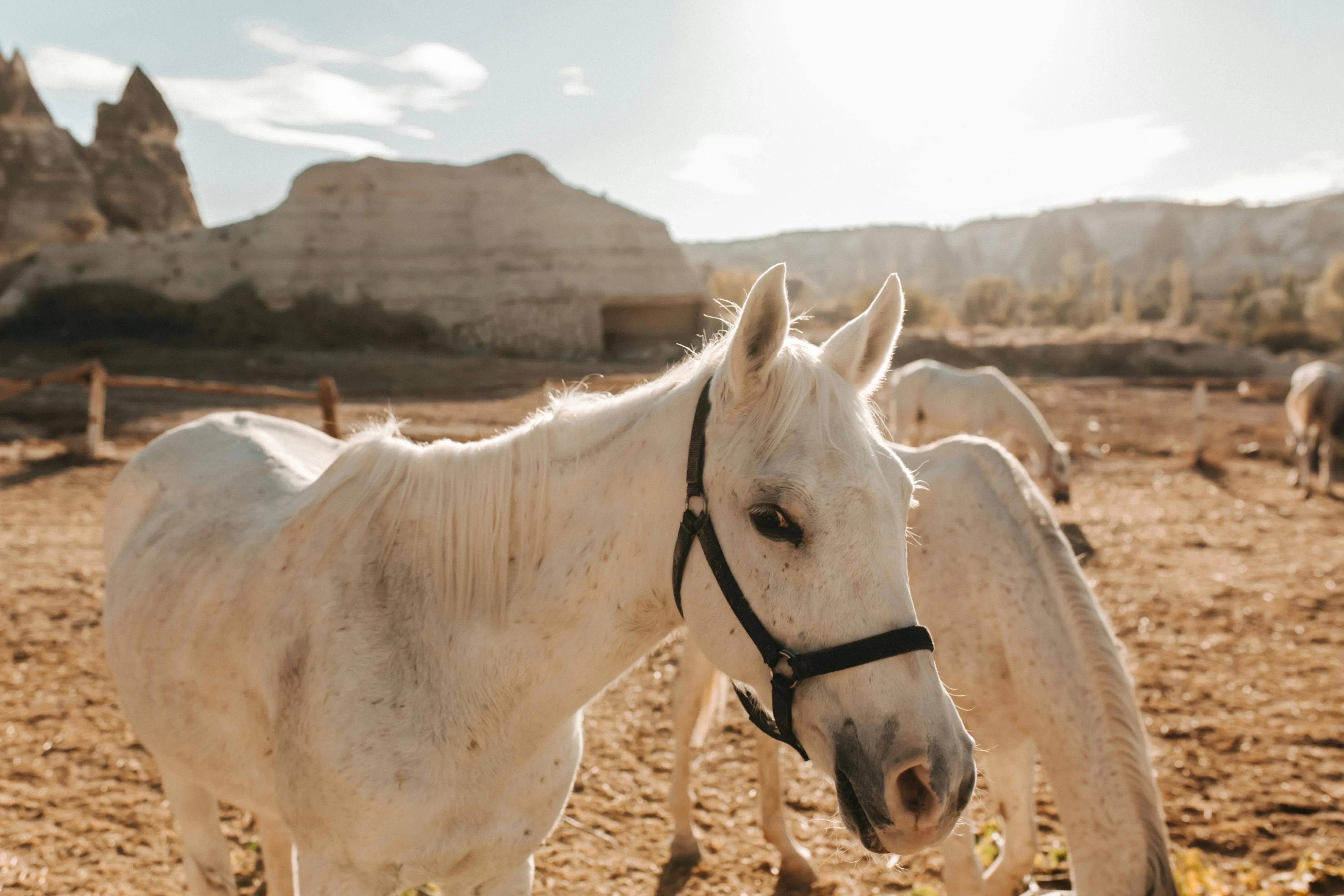 A Fairytale Ride on Horseback Through Cappadocia’s Valleys