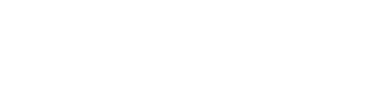 Polygot Travel Agency
